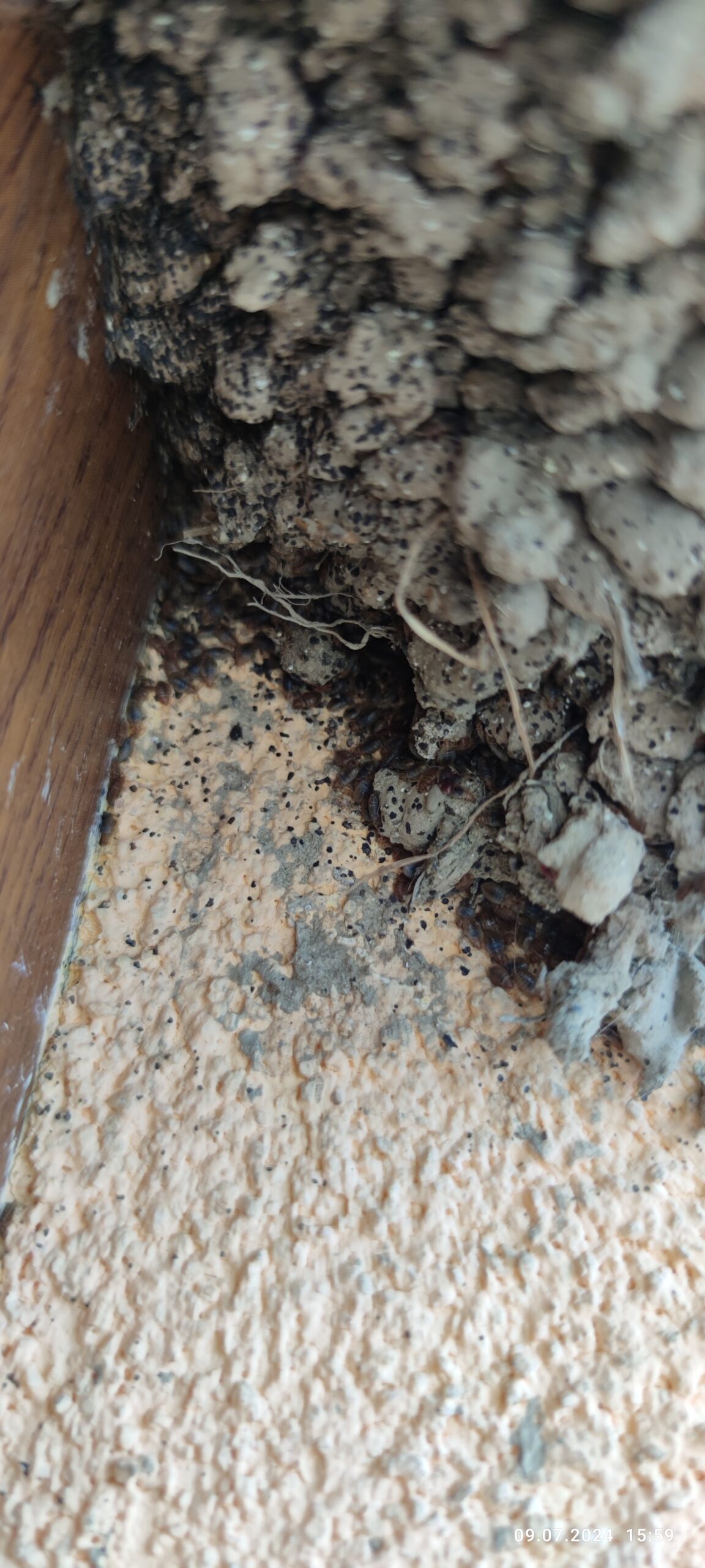 Fotografia realizácie 3