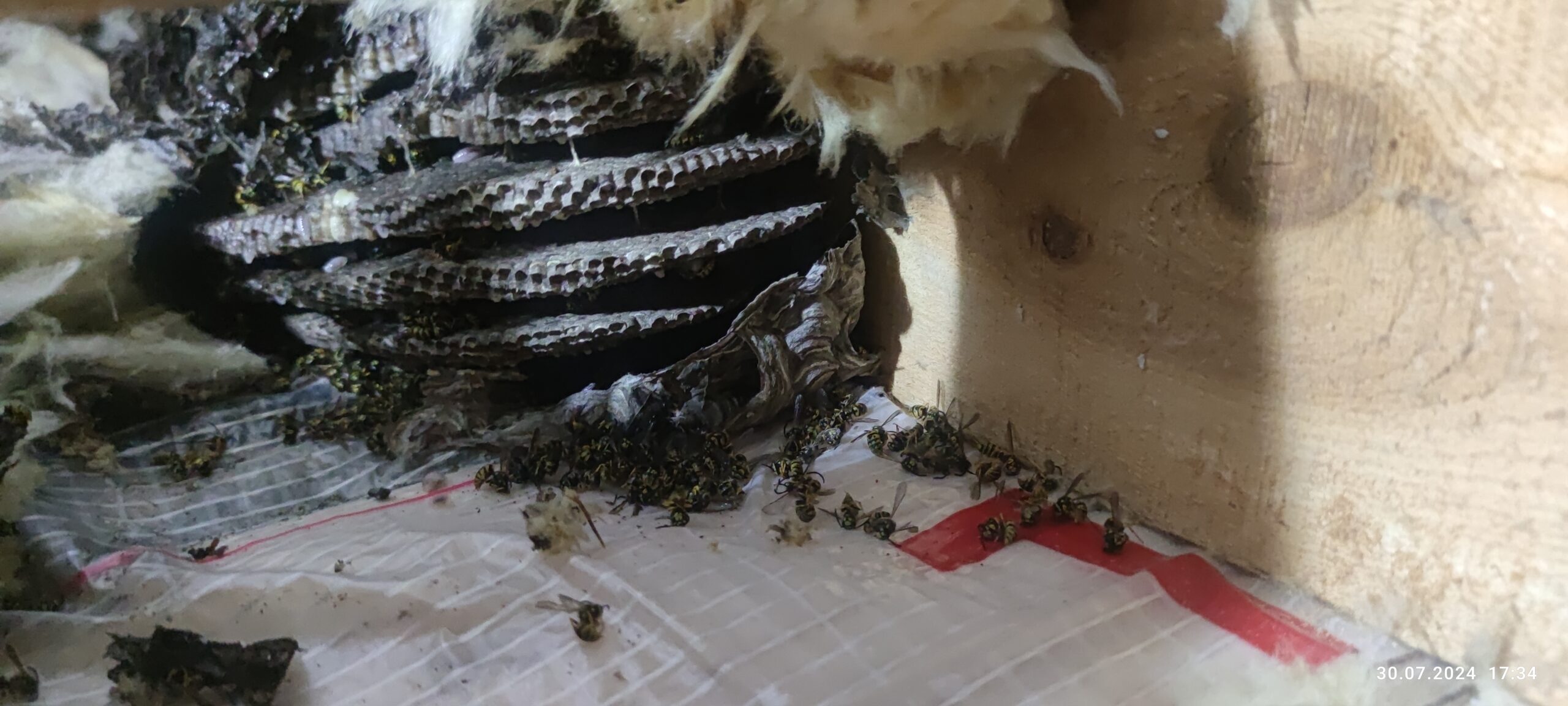 Fotografia realizácie 1