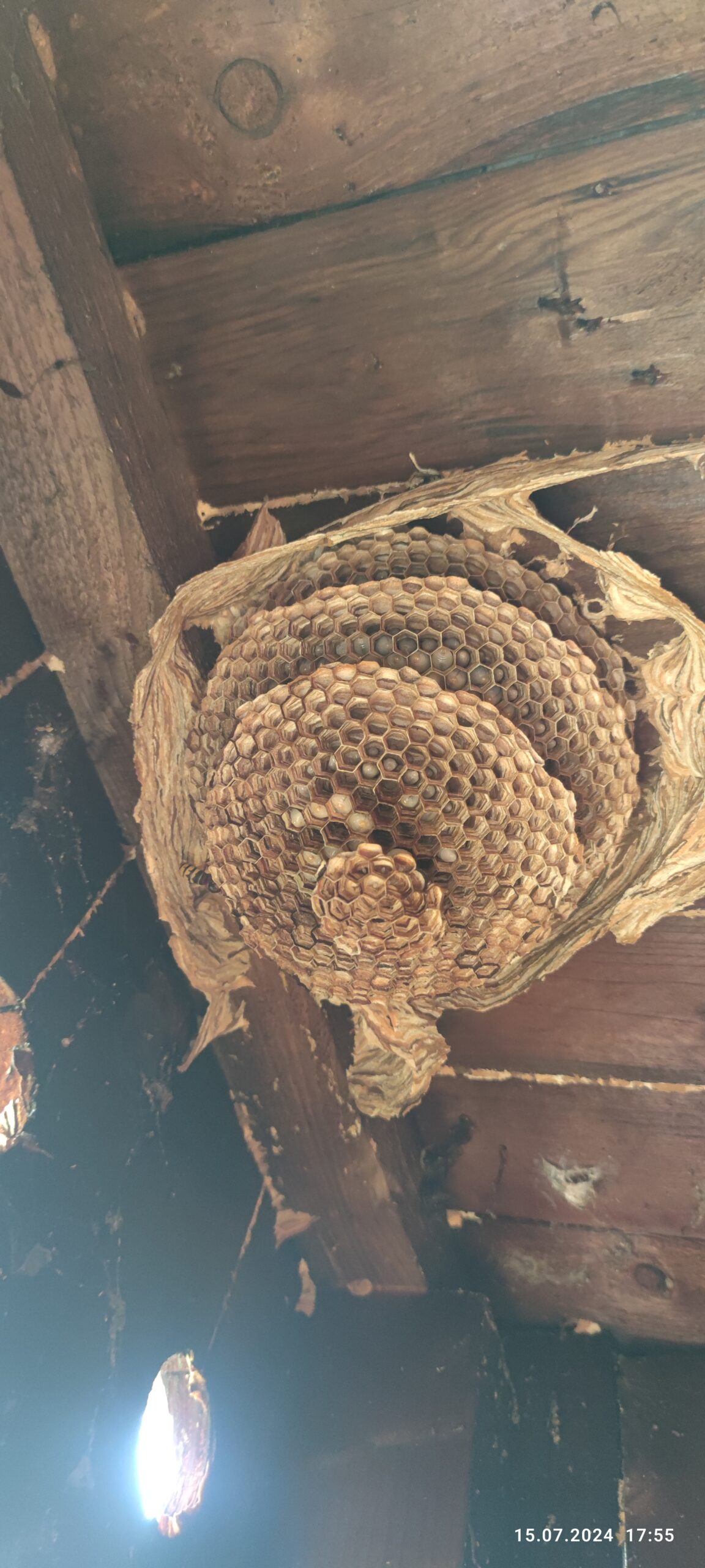 Fotografia realizácie 2