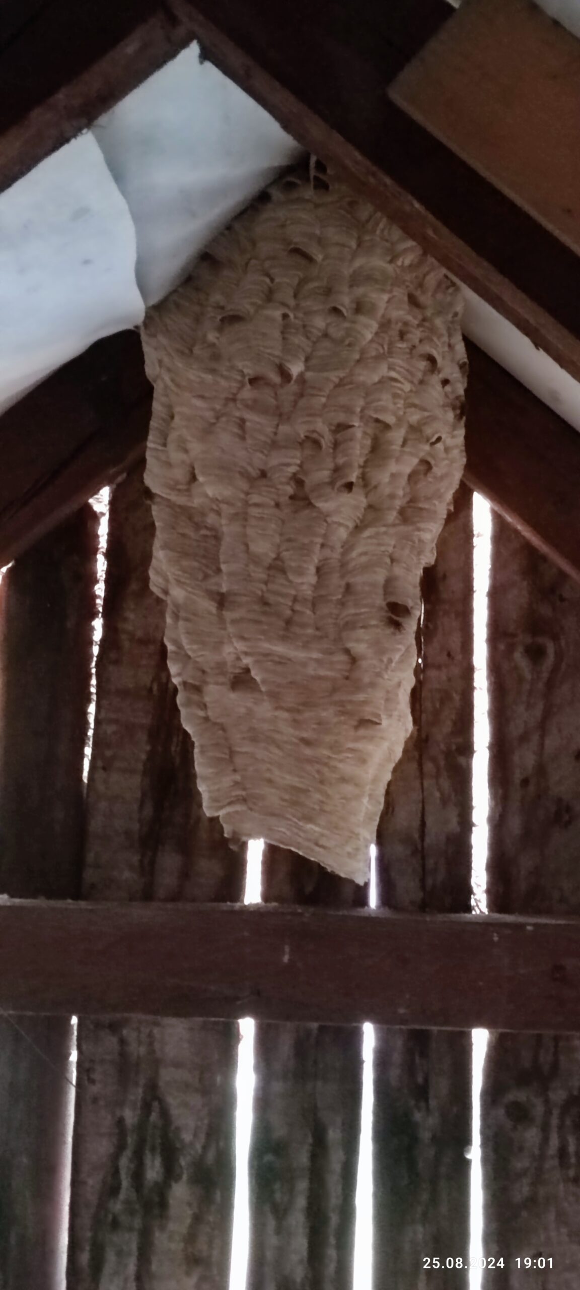 Fotografia realizácie 7