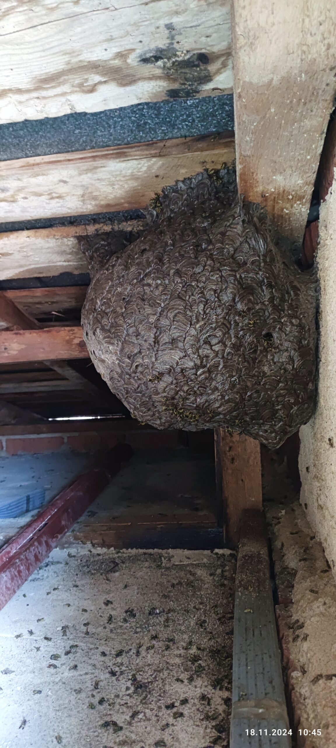 Fotografia realizácie 6