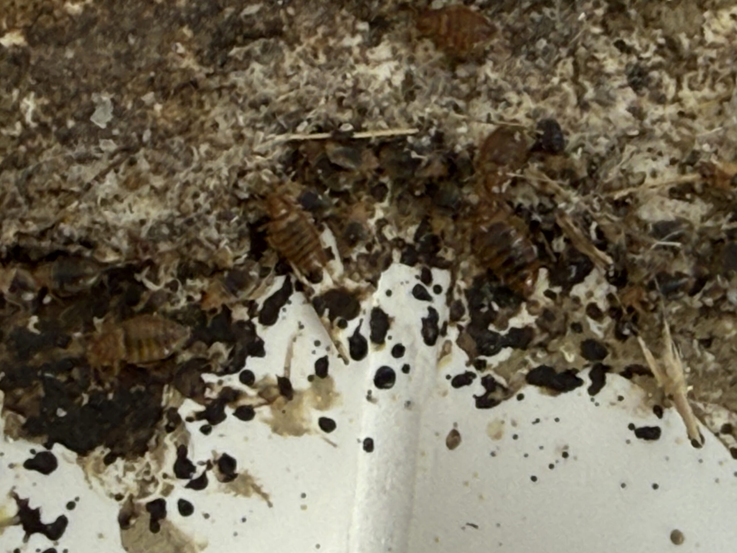 Fotografia realizácie 14