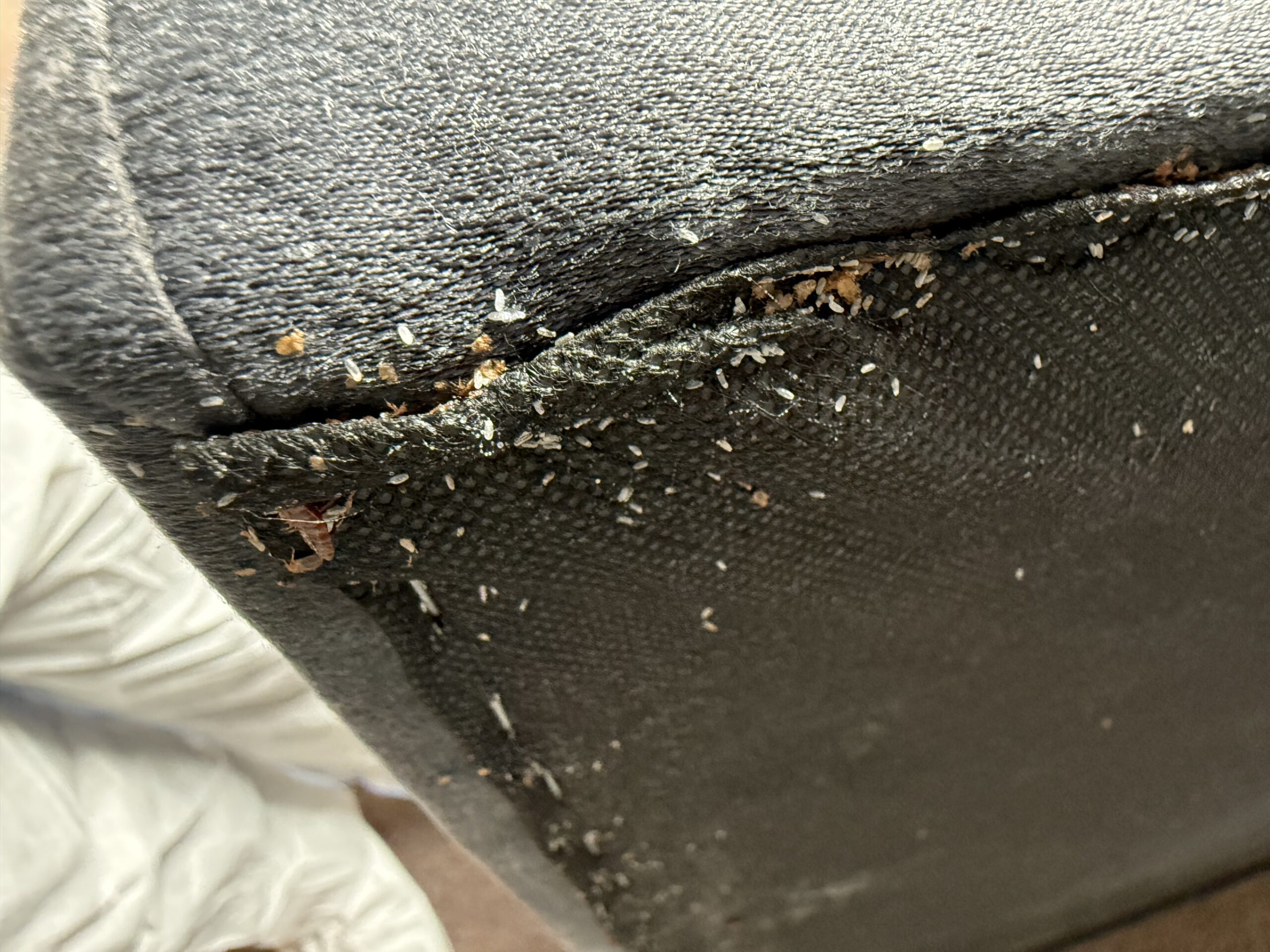 Fotografia realizácie 8